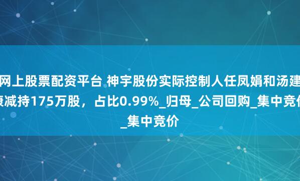 网上股票配资平台 神宇股份实际控制人任凤娟和汤建康减持175万股，占比0.99%_归母_公司回购_集中竞价